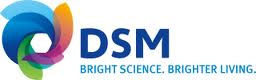 LJB-logo-dsm-foods.jpg - large